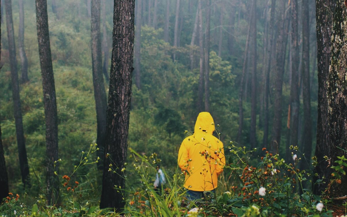 Swim, Cry, Hug a Tree: 3 Curious Ways to Stop Nagging Pain